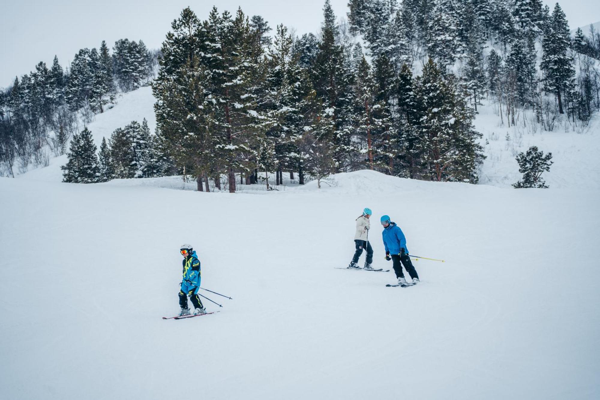 Bjornfjell Mountain Lodge Άλτα Εξωτερικό φωτογραφία